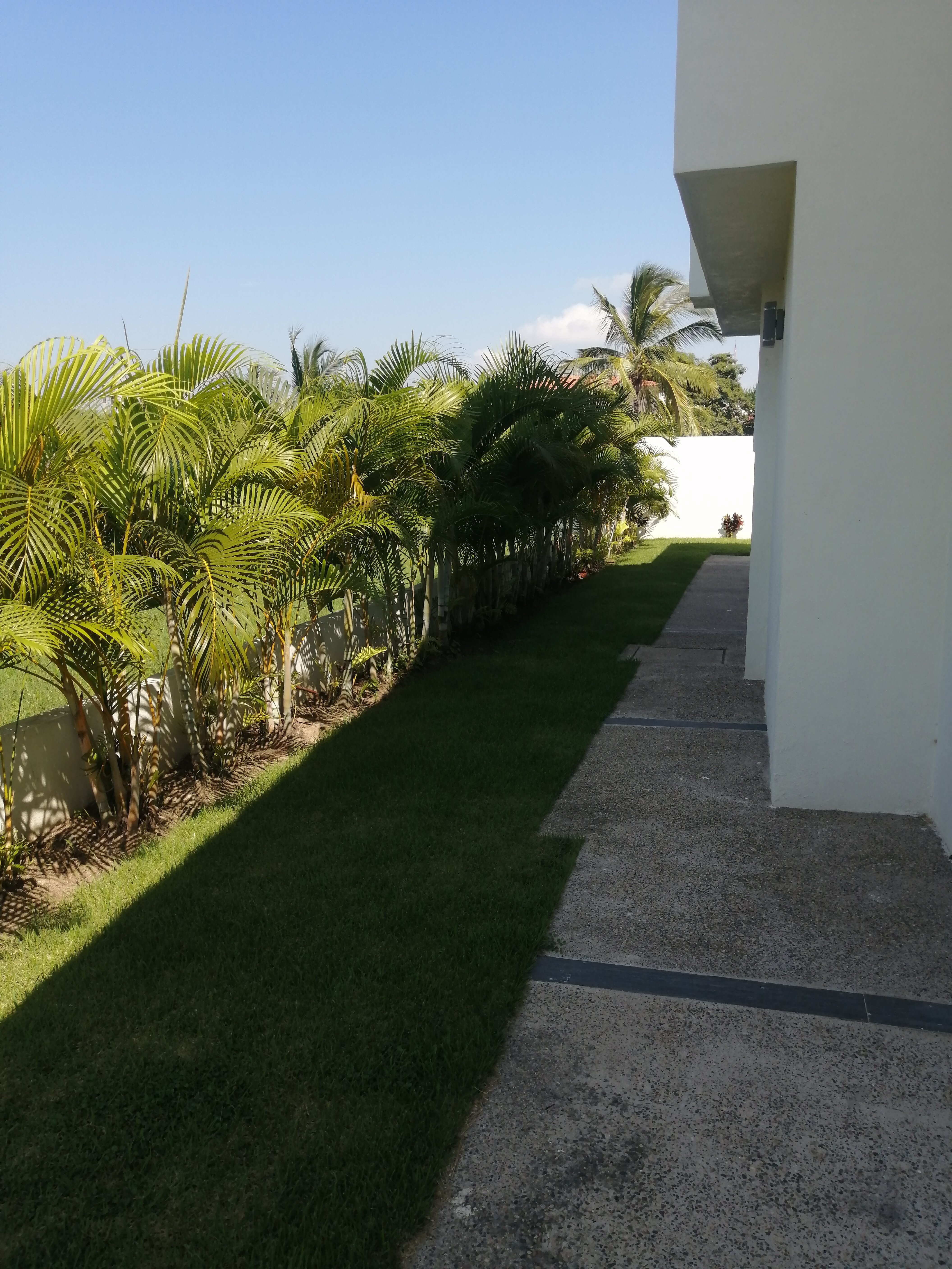 Nogal 420 Garden